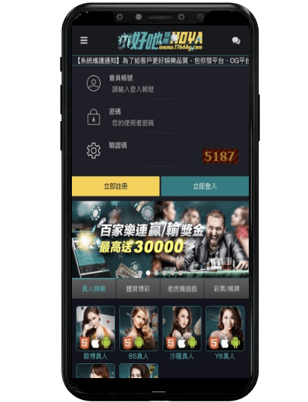 金合發娛樂城平台畫面